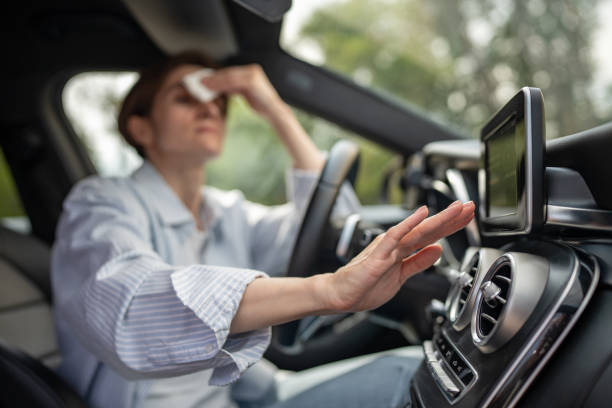 Best Affordable Air Conditioning Repair  in St Johns, MI